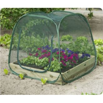 Pop-up kasvihuone hyönteisverkolla